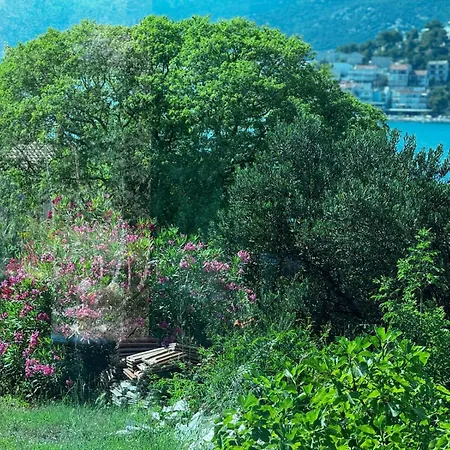 Jenny * Neum